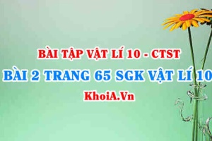 Bài 2 trang 65 SGK Vật lí 10 Chân trời sáng tạo